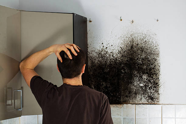 Best Residential Mold Remediation in Aiken, SC